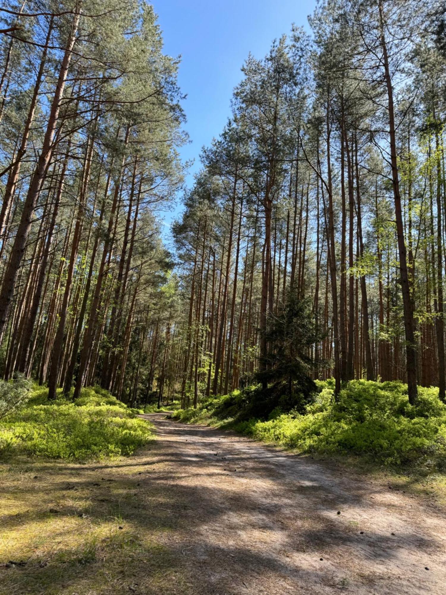 Bosio Nad Morze Ferienhaus Sztutowo
